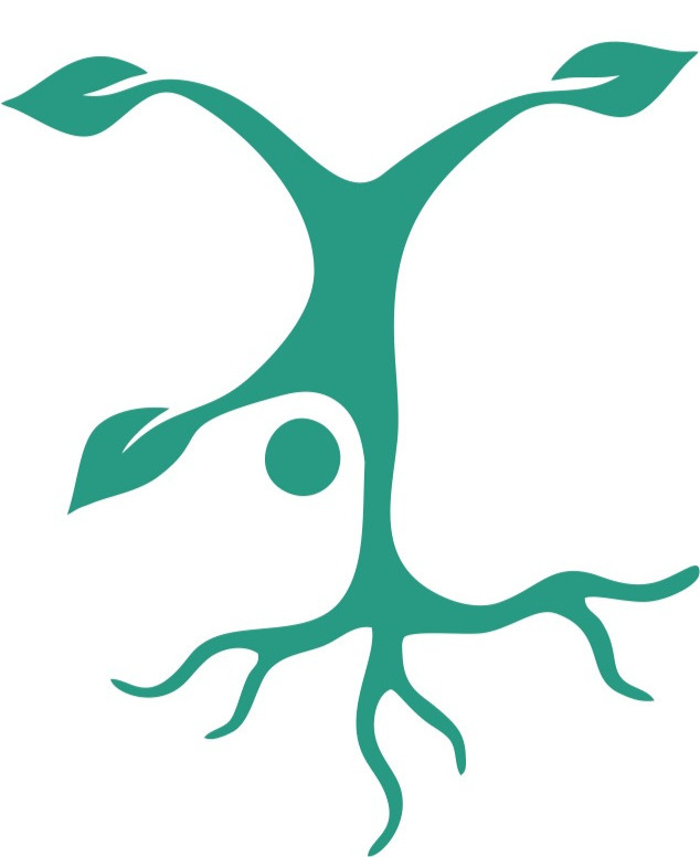 VaraPer